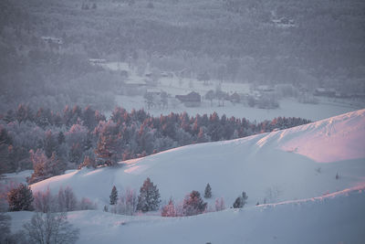 Snow covered land and trees against sky