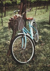Bicycle parked by tree on field