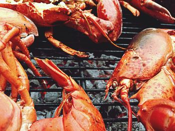 High angle view of lobsters being grilled on barbecue