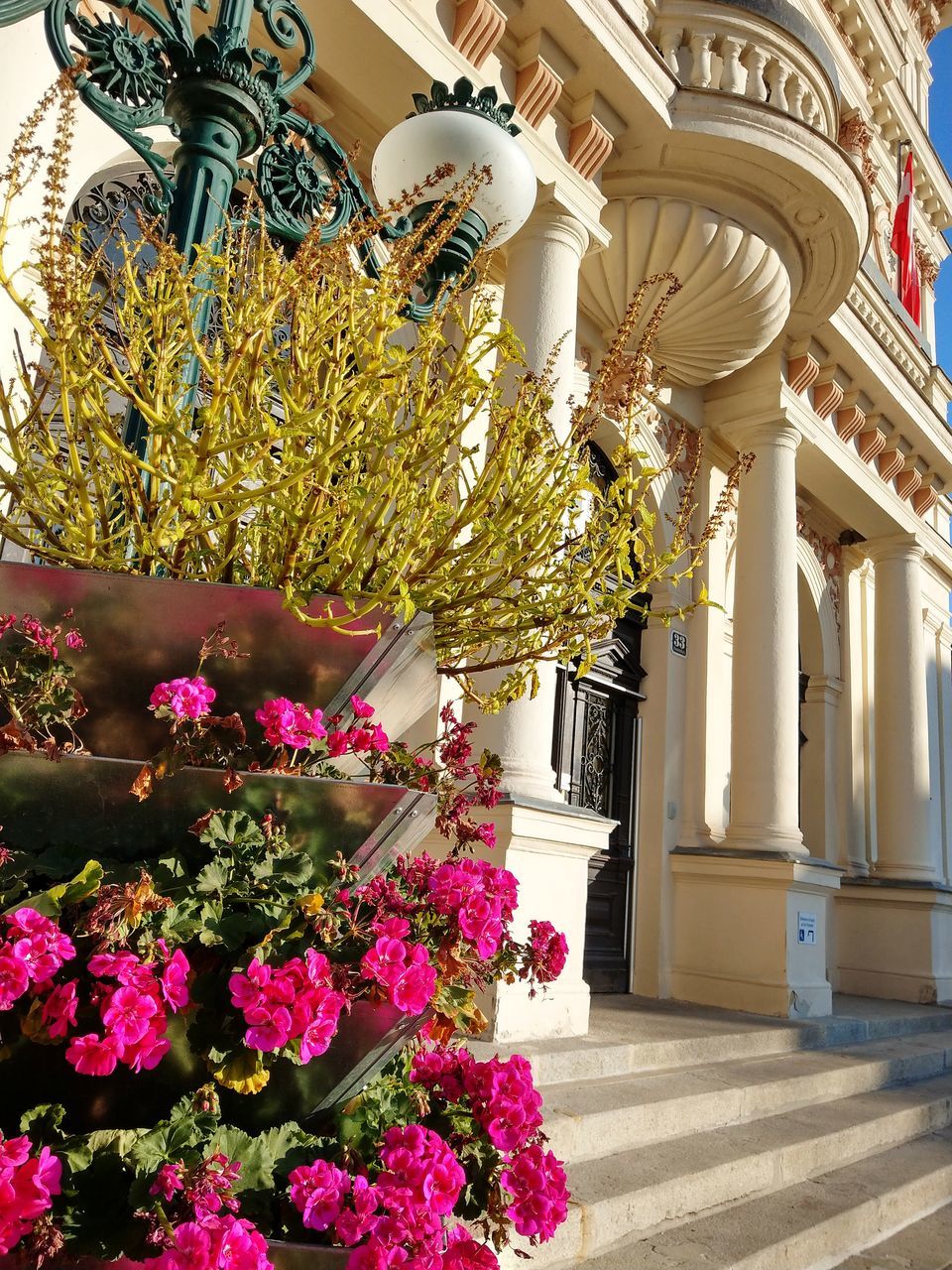 POTTED PLANT AGAINST BUILDING