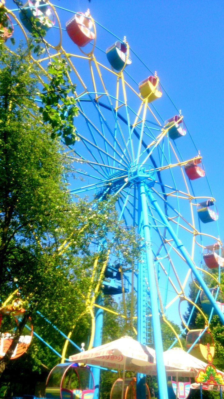 amusement park, arts culture and entertainment, amusement park ride, low angle view, ferris wheel, clear sky, tree, blue, no people, enjoyment, leisure activity, fun, outdoors, day, sky, multi colored, traveling carnival, big wheel, carousel