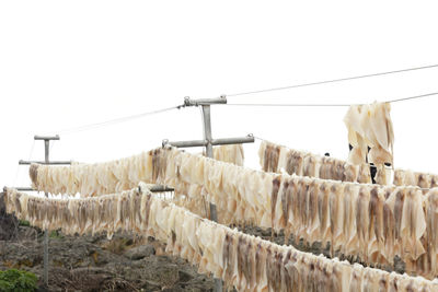 Clothes drying against clear sky