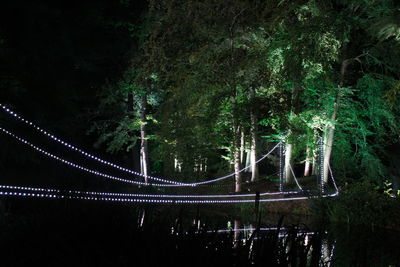 Reflection of trees in water