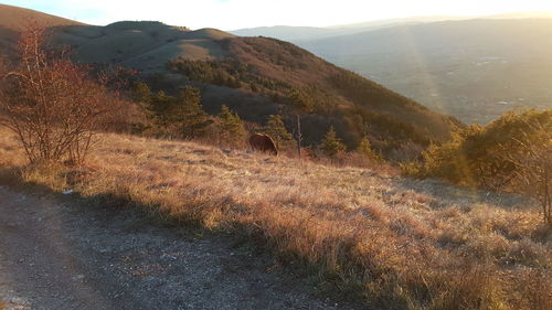 View of landscape against mountain range