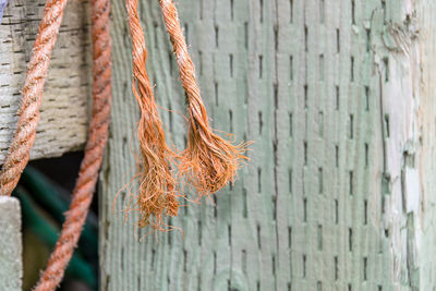 Close-up of ropes against wall