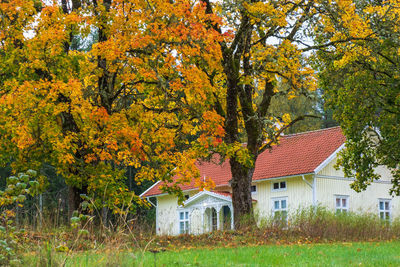 Houses and trees on field during autumn