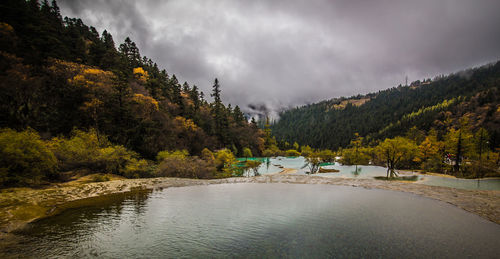 Scenic view of river amidst trees against sky