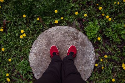 Low section of person standing on flowering plants