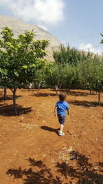 Rear view of boy walking on landscape against sky