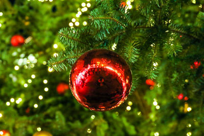 Close-up of christmas decoration hanging on tree