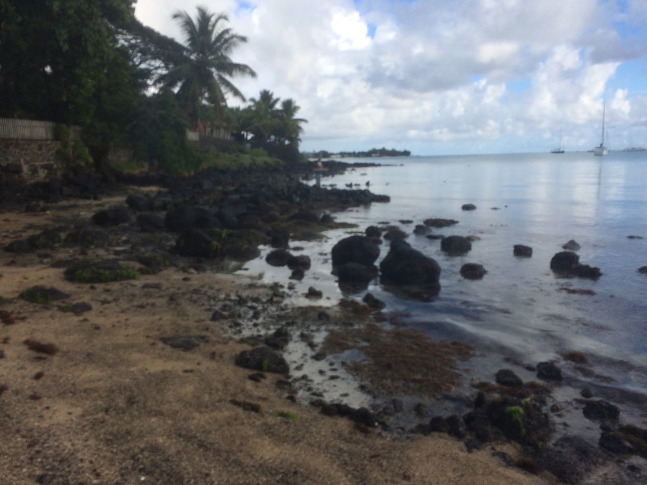 sky, water, nature, sea, tree, beach, scenics, beauty in nature, tranquil scene, outdoors, tranquility, no people, cloud - sky, sand, day, horizon over water