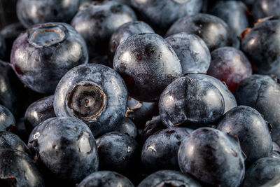 Close-up of blueberries