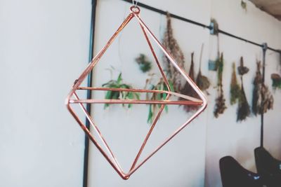 Close-up of plant hanging on wall