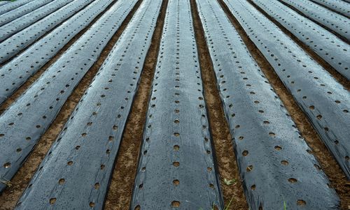 Full frame shot of metallic roof