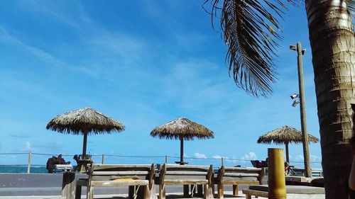 Palm trees on beach against clear blue sky