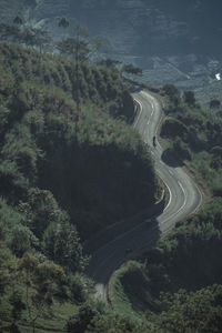 High angle view of road amidst trees