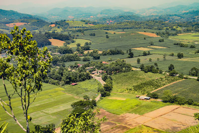 Aerial view of agricultural landscape