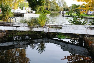 Reflection of buildings in water