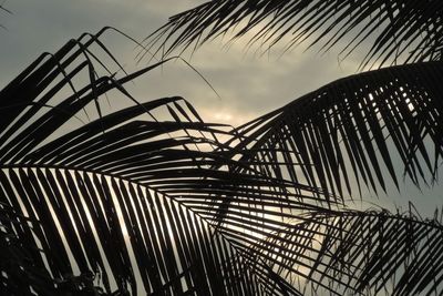 Low angle view of metal fence against sky