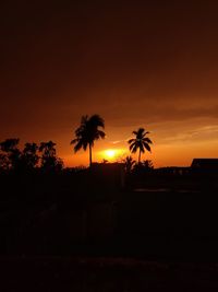 Silhouette palm trees on field against orange sky