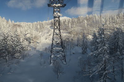 Snow covered land and trees against sky