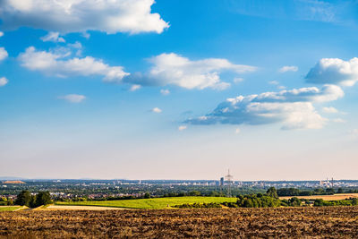 Scenic view of agricultural field against sky