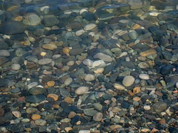 Full frame shot of stones