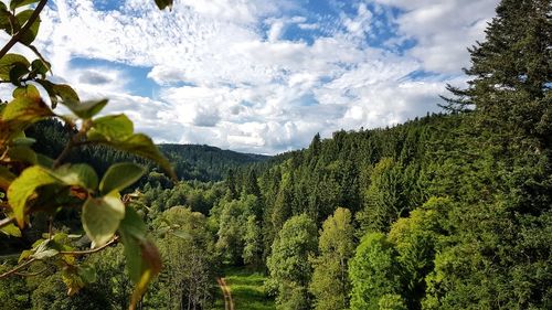 Panoramic view of green landscape against sky
