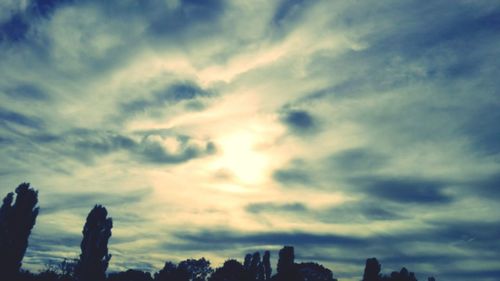 Low angle view of silhouette trees against sky