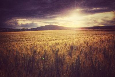 Scenic view of landscape against cloudy sky