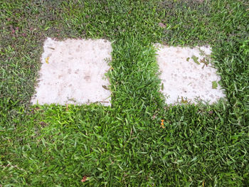 High angle view of stone wall on field