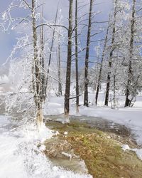 Snow covered landscape