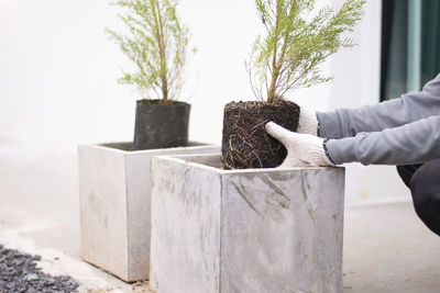 Midsection of man holding plant against tree