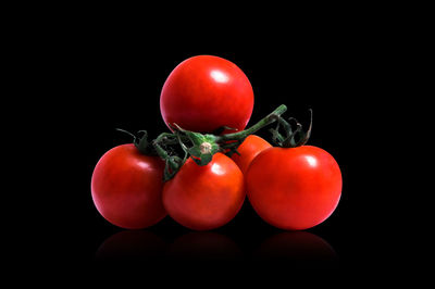 Close-up of tomatoes against black background