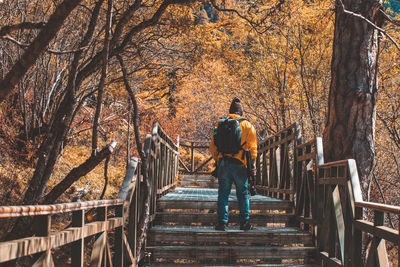 Rear view of man walking on railing