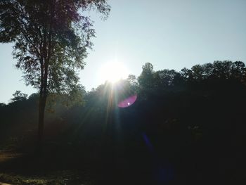 Low angle view of trees against sky