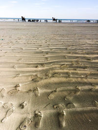 People at beach against sky