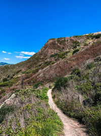 Scenic view of landscape against clear blue sky