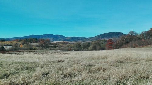 Scenic view of landscape against clear sky