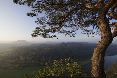 Scenic view of tree by mountains against sky