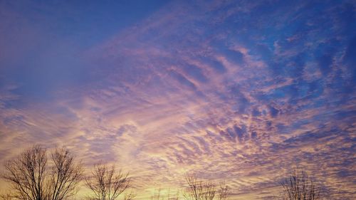 Scenic view of tree against sky at sunset