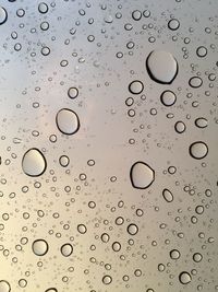 Close-up of water drops on glass