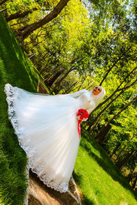 Close-up of a lizard on a tree