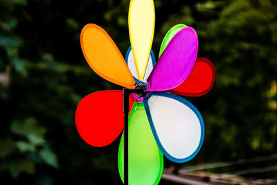 Close-up of colorful pinwheel toy