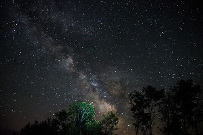 Low angle view of stars at dark sky