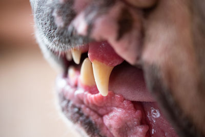 Close-up of midsection of man eating food