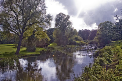 Pond in park