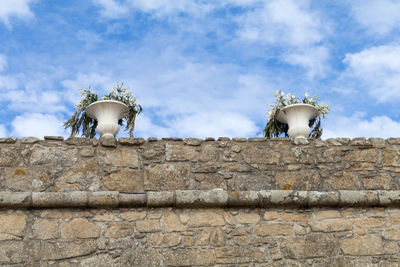 Low angle view of horse against sky