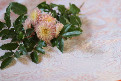 High angle view of flowering plant on table