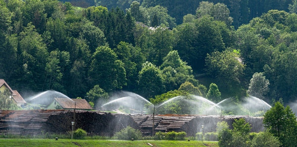 Panoramic view of waterfall in forest